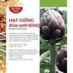 Hạt giống hoa