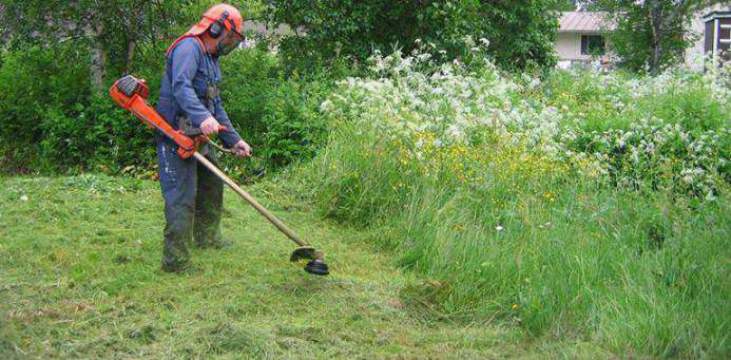 Dịch vụ cắt cỏ, cắt cỏ phát hoang, vệ sinh cắt cỏ sân vườn Dịch vụ cây xanh  