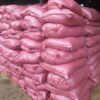 Xơ dừa trồng cây cảnh tại Cây Xanh US