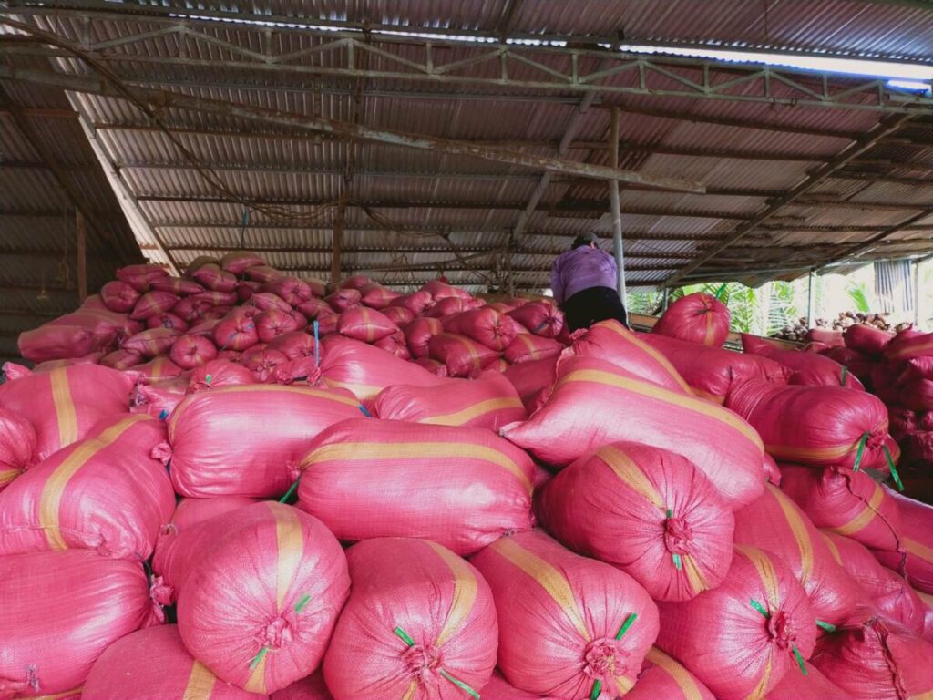 Xơ dừa trồng cây cảnh  