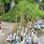 Nơi bán cây cảnh giá rẻ tại TPHCM dễ dàng đặt mua online Dịch vụ cây xanh Khu vực giao cây xanh Vựa cây cảnh  Vườn bán cây cảnh gần đây Tiệm bán cây cảnh gần đây Thanh lý cây cảnh TPHCM Nơi bán đất trồng cây ở TPHCM Nhà vườn cung cấp cây cảnh TPHCM Mua đất trồng cây quận Tân Phú Mua đất trồng cây Quận 8 Mua đất trồng cây ở Bình Thạnh Mua đất trồng cây giá rẻ Mua cây cảnh giá rẻ Chợ đầu mối cây cảnh TPHCM Bán đất trồng cây quận Tân Phú Bán đất trồng cây quận Tân Bình Bán đất trồng cây quận Gò Vấp Bán đất trồng cây quận Bình Thạnh Bán đất trồng cây quận 9 Bán đất trồng cây quận 8 Bán đất trồng cây quận 7 Bán đất trồng cây quận 6 Bán đất trồng cây quận 5 Bán đất trồng cây quận 3 Bán đất trồng cây quận 2 Bán đất trồng cây quận 12 Bán đất trồng cây quận 11 Bán đất trồng cây quận 10 Bán đất trồng cây quận 1 Bán đất trồng cây gần đây Bán đất trồng cây 4 Bán đất thịt trồng cây ở Bình Dương Bán cây cảnh sân vườn Bán cây cảnh online TPHCM 