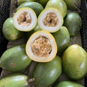 Cây giống chanh dây  