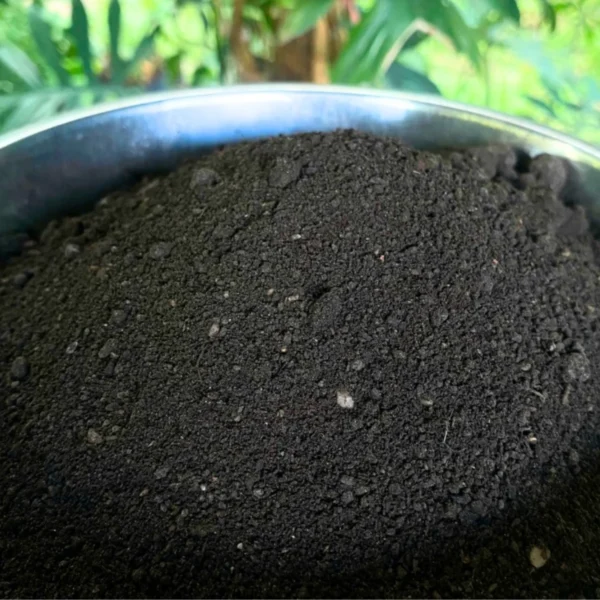 Phân gà bột SFARM – Phân gà dạng bột, hữu cơ, tăng sức đề kháng cho cây Dụng cụ ươm cây 6