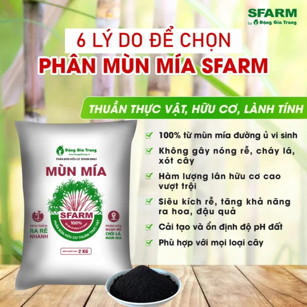 Phân mùn mía SFARM – Cung cấp chất hữu cơ, cải tạo đất chai cứng, giữ ẩm tốt Dụng cụ ươm cây 5