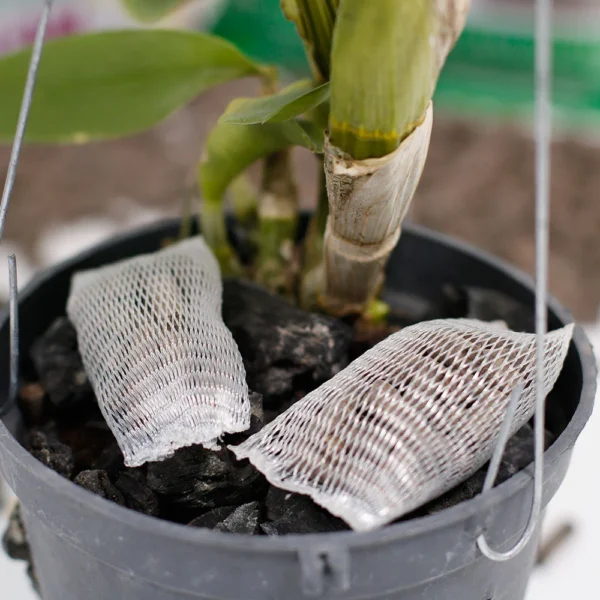 Phân trùn quế viên nén SFARM cho Lan Dụng cụ ươm cây 4