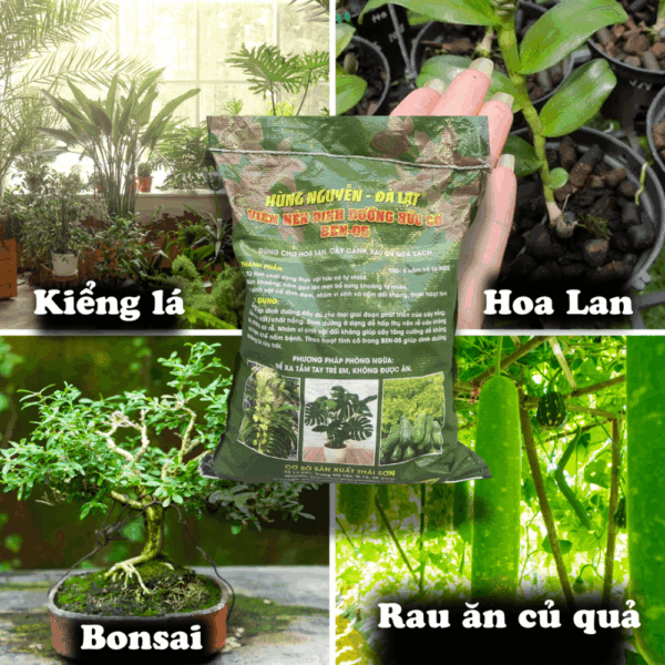 Viên nén hữu cơ dinh dưỡng Ben-05 Hùng Nguyễn Dụng cụ ươm cây 4
