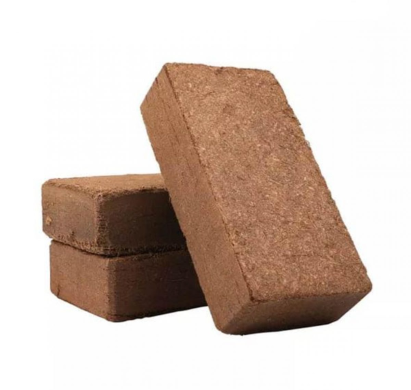 Viên nén xơ dừa dùng cho cây trồng ( hình chữ nhật ) Dụng cụ ươm cây 6