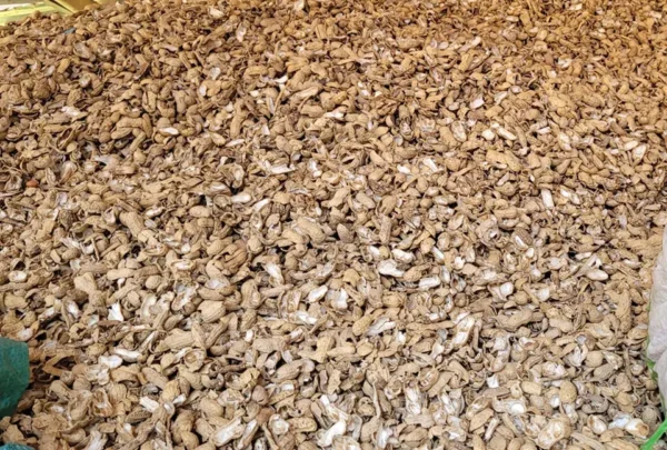 Vỏ đậu phộng ( vỏ lạc ) Dụng cụ ươm cây 4