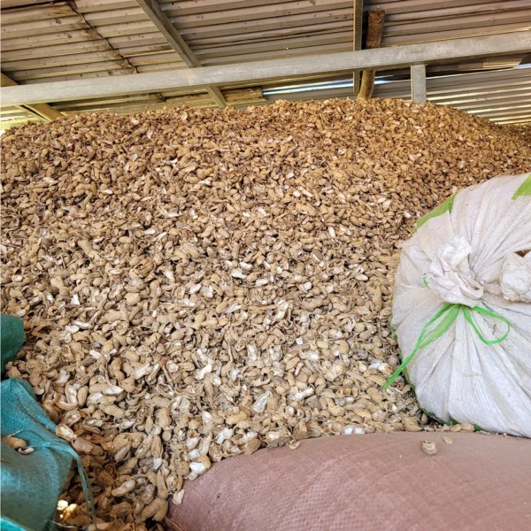 Vỏ đậu phộng ( vỏ lạc ) Dụng cụ ươm cây 2