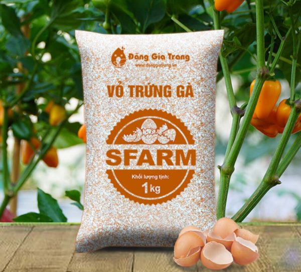 Vỏ trứng gà SFARM (1kg) – Cải tạo đất, bổ sung Canxi, cho cây con, rau màu Cây cỏ 2