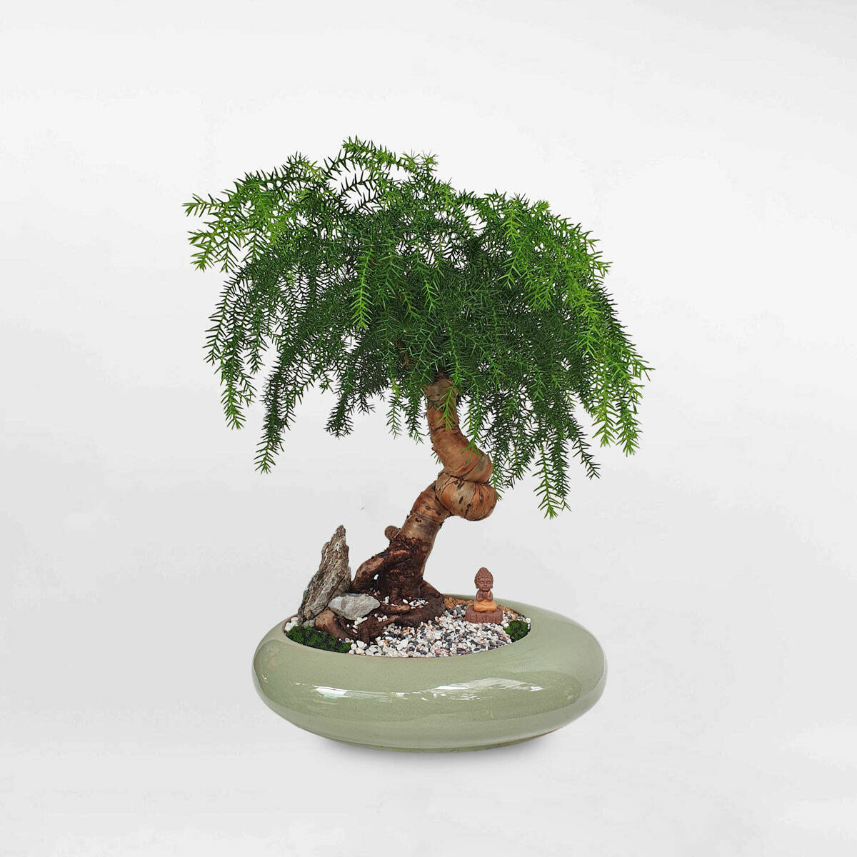 🌿 Top 6 Loại Cây Xanh Tặng Cho Người Yêu Là Nam – Ý Nghĩa, Nam Tính Và Dễ Chăm Cây xanh phong thuỷ Dịch vụ cây xanh Khu vực giao cây xanh Kỹ thuật trồng cây Loài cây Loài hoa Thiết kế sân vườn Vựa cây cảnh 🌿 Top 6 Loại Cây Xanh Tặng Cho Người Yêu Là Nam – Ý Nghĩa, Nam Tính Và Dễ Chăm Cây xanh phong thuỷ Dịch vụ cây xanh Khu vực giao cây xanh Kỹ thuật trồng cây Loài cây Loài hoa Thiết kế sân vườn Vựa cây cảnh